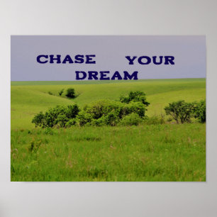 Chase Your Dream Motivational Poster