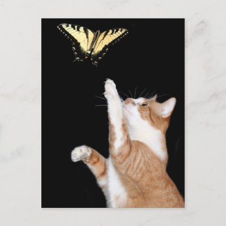 chase your dream postcard