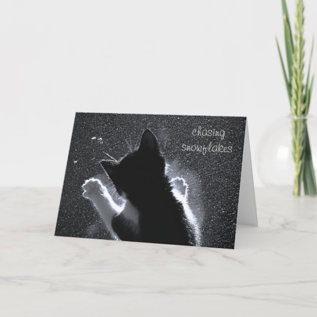 Chasing Snowflakes Christmas Kitten Card (Front)