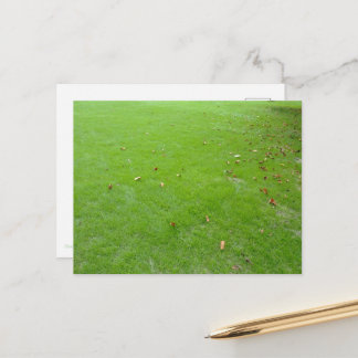 Chasing the gentle autumn breeze. postcard