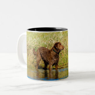Chasse à la Mug de café de chien par un pêcheur de