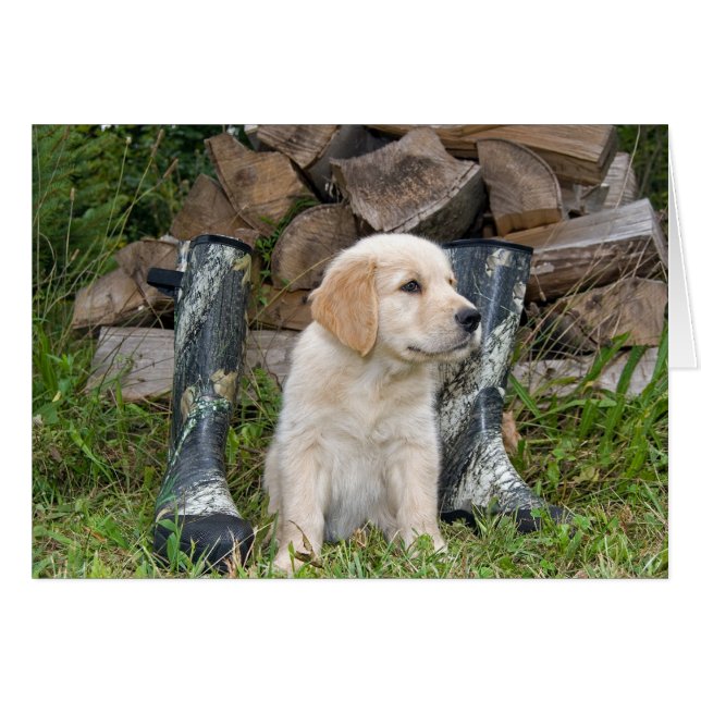 Chasse au chien (Devant horizontal)