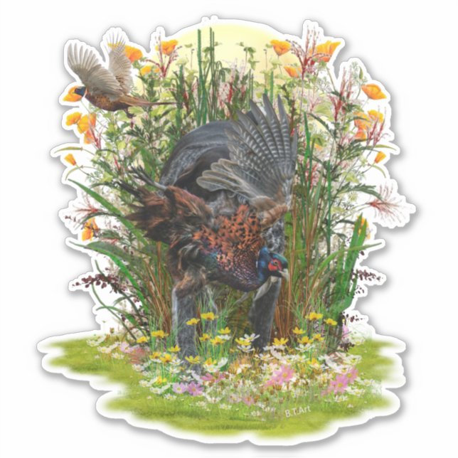 Chasse Sticker faisan (Devant)