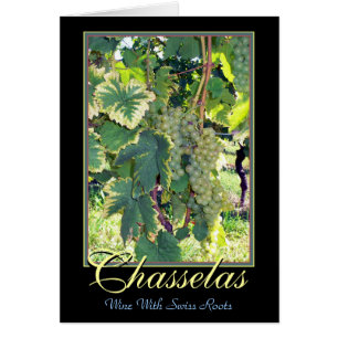 Chasselas - White Wine with Swiss Roots - Rolle