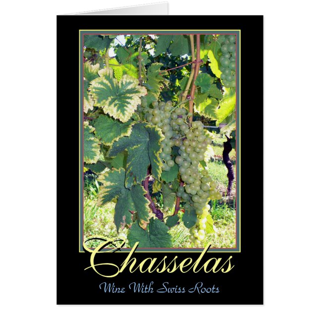 Chasselas - White Wine with Swiss Roots - Rolle (Front)