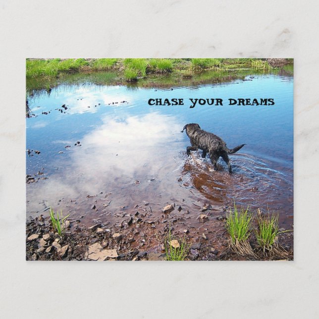 Chasser votre carte postale Dreams (Devant)