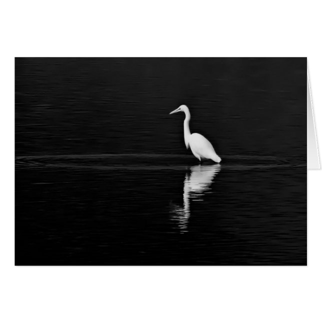 Chasseur (Devant Horizontal)