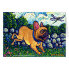 Chasseur de libellule