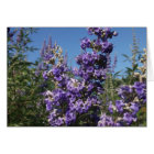 Chaste Arbre Fleurs violettes