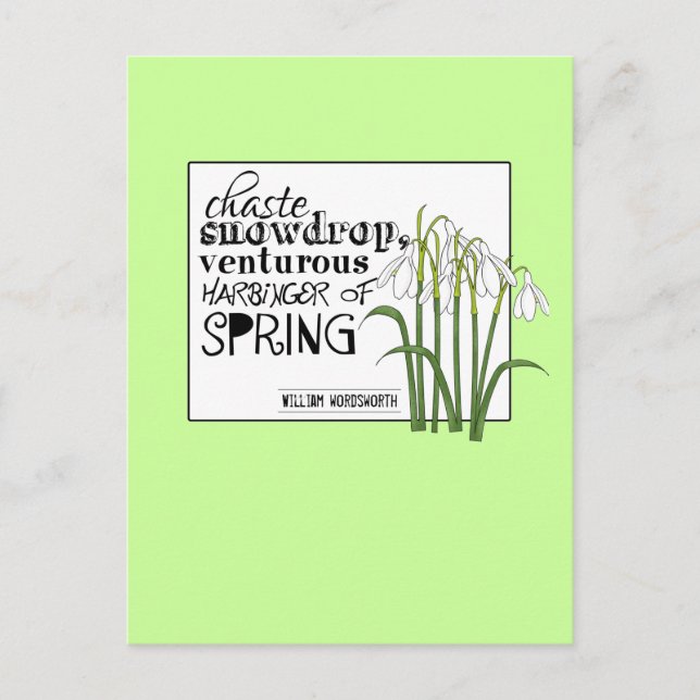 Chaste Snowdrop Postcard (Front)