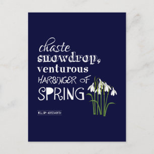Chaste Snowdrop, Venturous Harbinger of Spring Postcard