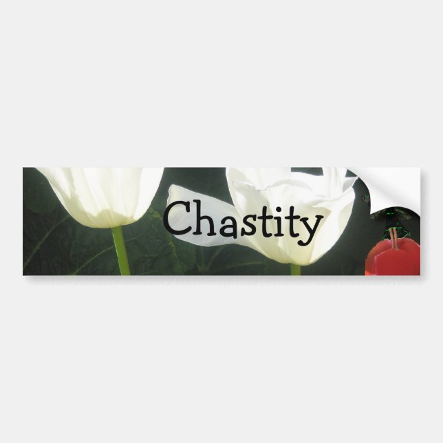 Chastity Bumper Sticker (Front)