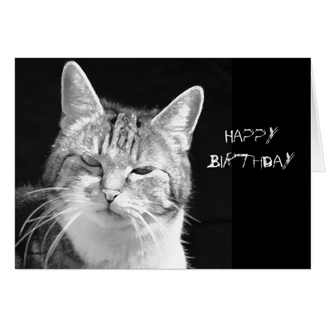 chat (Devant horizontal)