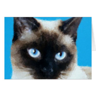 Chat 1