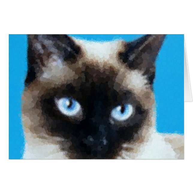 Chat 1 (Devant horizontal)