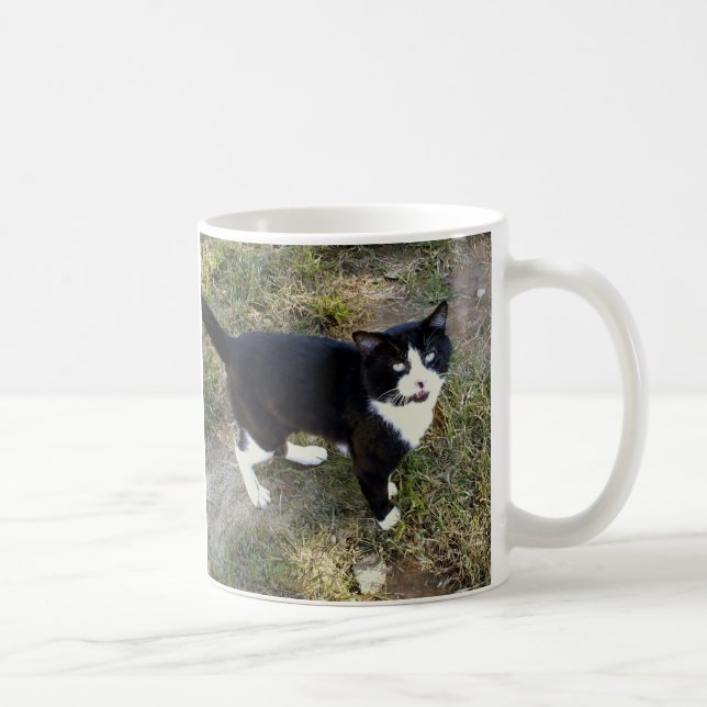 Chat 10, Mug (Droite)