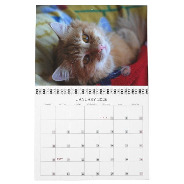 Chat 2012 de calendrier (Jan 2026)