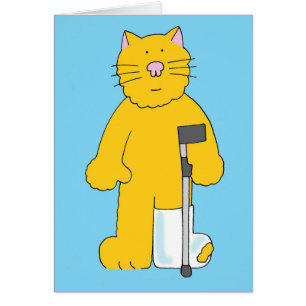 Chat à Jambe cassée avec Jambe en plâtre