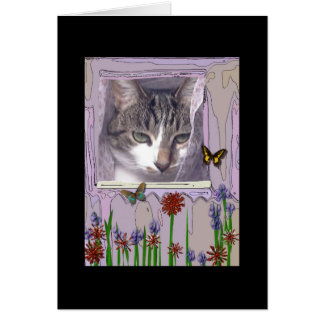 Chat à la fenêtre