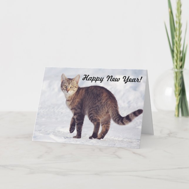 Chat à Neige Crisp Bonne Carte de Nouvel An (Devant)