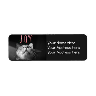 Chat adorable de Noël