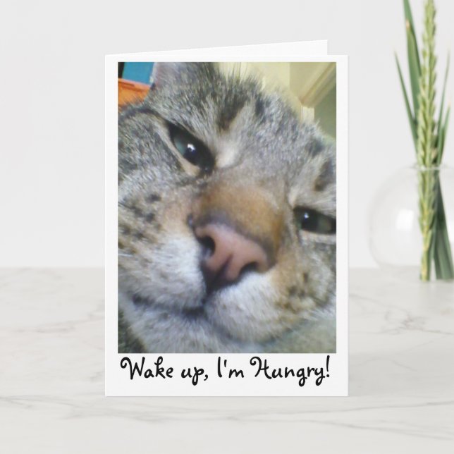 Chat affamé Drôle Salutation / Carte d'anniversair (Devant)