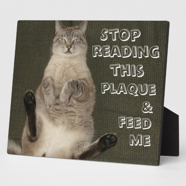 Chat "ARRÊTEZ DE LIRE CETTE PLAQUE & FEED ME" Plaq (Côté)