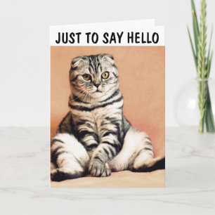 CHAT ASSIS COMME UNE PERSONNE BONJOUR CARTES DE FÉ
