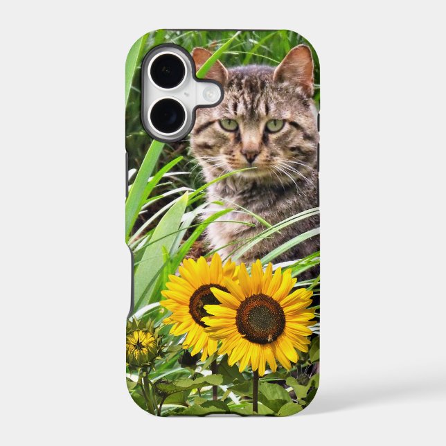  Chat assis dans le jardin avec des tournesols  (Verso)