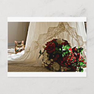 Chat assis Derrière Les Cartes Postales Mariages