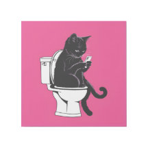 Chat assis sur une toilette