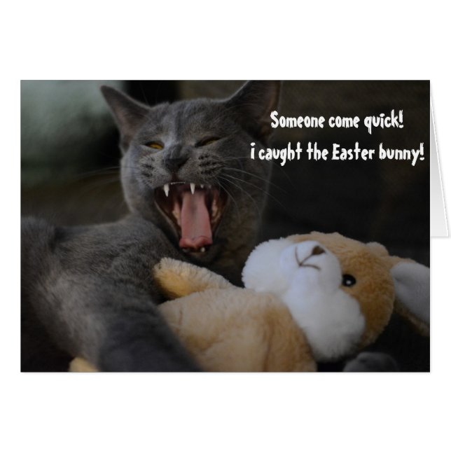Chat attrapé lapin de Pâques Drôle Humour Salutati (Devant horizontal)