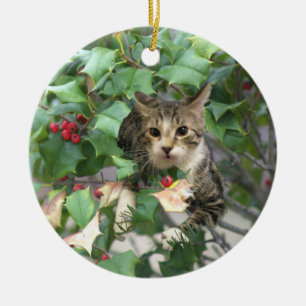 Chat avec Berries Holly Ornement