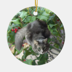 Chat avec Berries Holly Ornement