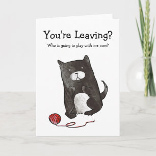 Chat avec carte de laisser en laine