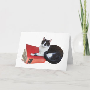 Chat avec carte de livre