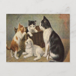 Chat avec chatons dans le panier Carte postale Vin