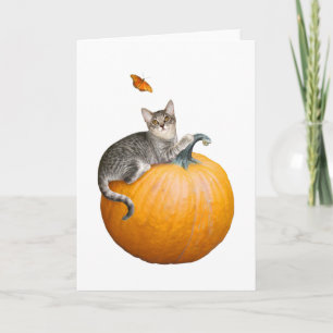 Chat avec Citrouille et carte papillon