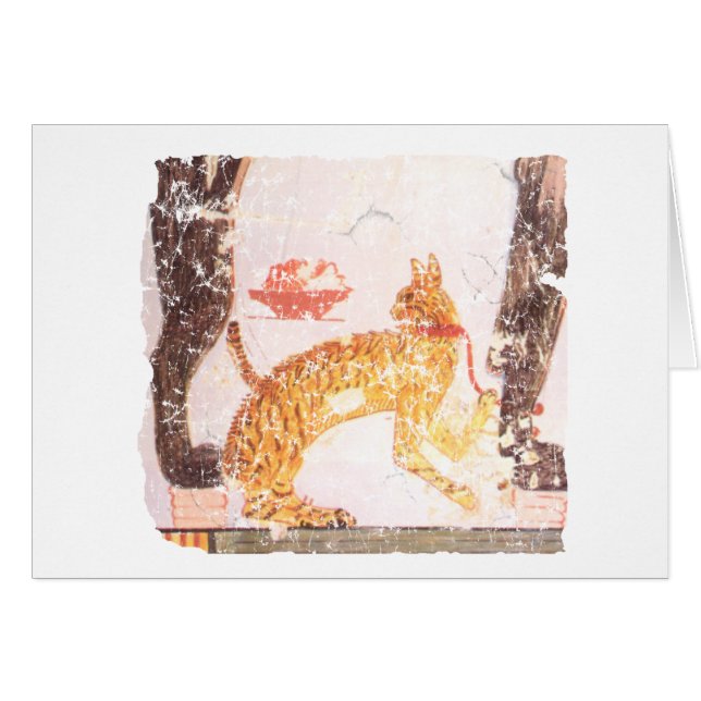 chat avec col (Devant horizontal)