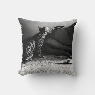 Chat avec coussin de guitare