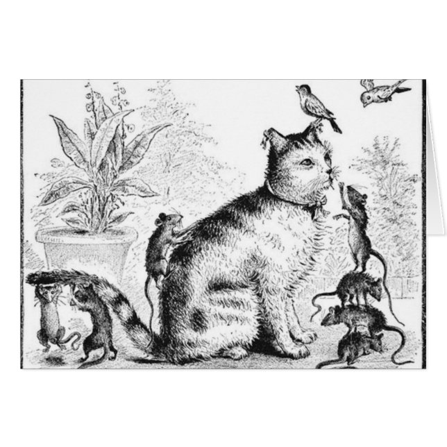 Chat avec des oiseaux et des rats (Devant horizontal)