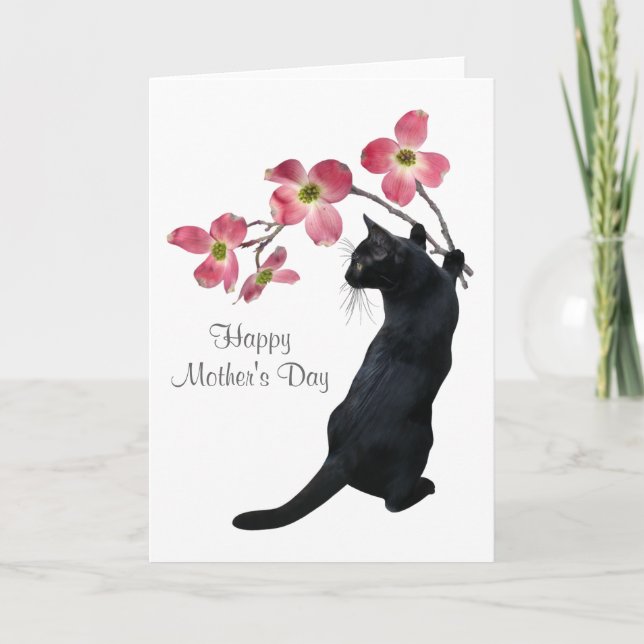 Chat avec Fleurs de Dogwood Rose Carte de fête des (Devant)