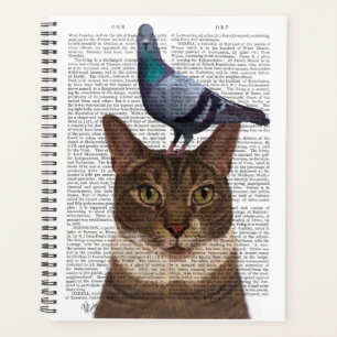 Chat avec Pigeon sur la tête