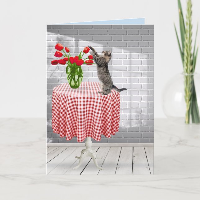 Chat avec tulipe rouge sur carte table (Devant)