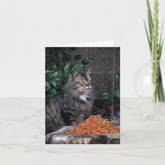 Chat avec un coeur gracieux Merci Carte de note (Devant)