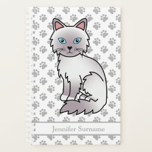 Chat Birman / Ragdoll Lilac Point et pattes & Text