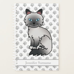 Chat Birman / Ragdoll Point Bleu Et Pattes & Texte