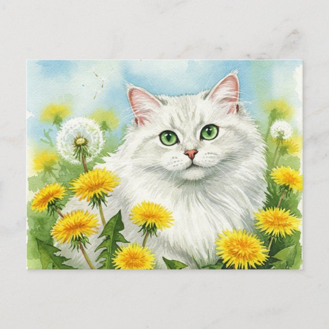 Chat blanc avec carte postale (Devant)