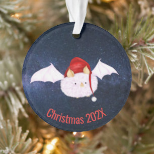 Chat blanc hondurien de Noël
