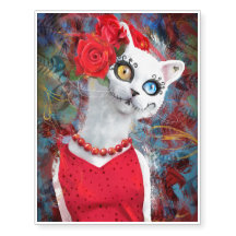 Chat blanc, jour des morts
